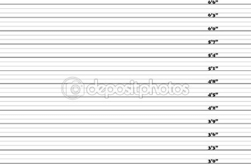 3-6.6 Inch Mugshot Theme Print Photography Backdrop