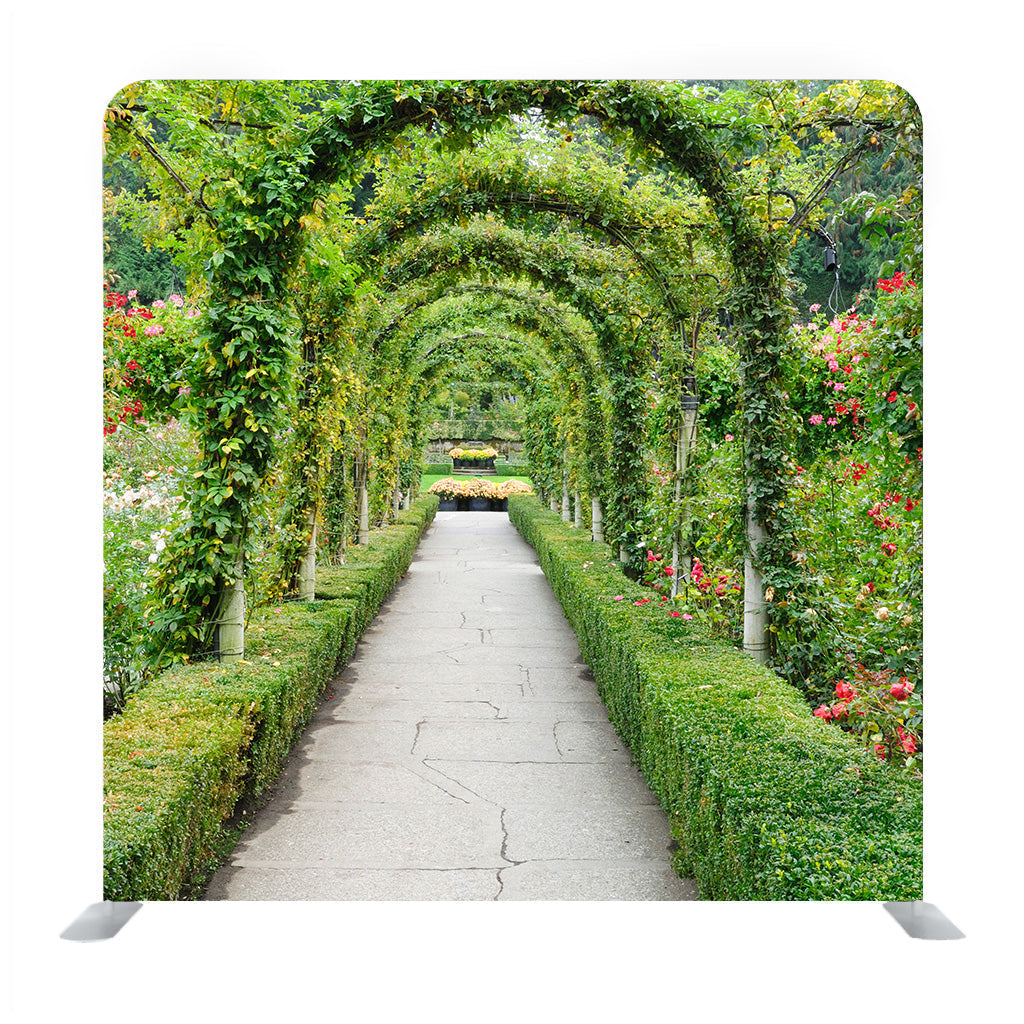 Green Arc surrounded Media wall