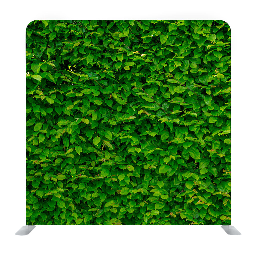 Green Wall Media wall