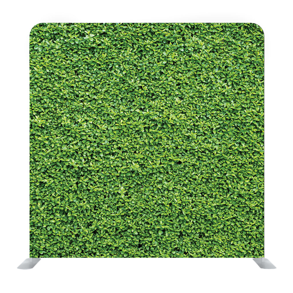 Green decorative Media wall