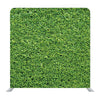 Green decorative Media wall