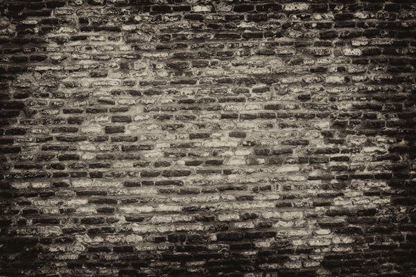 Grunge Brick Wall Backdrop