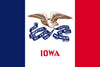 Iowa State Flag