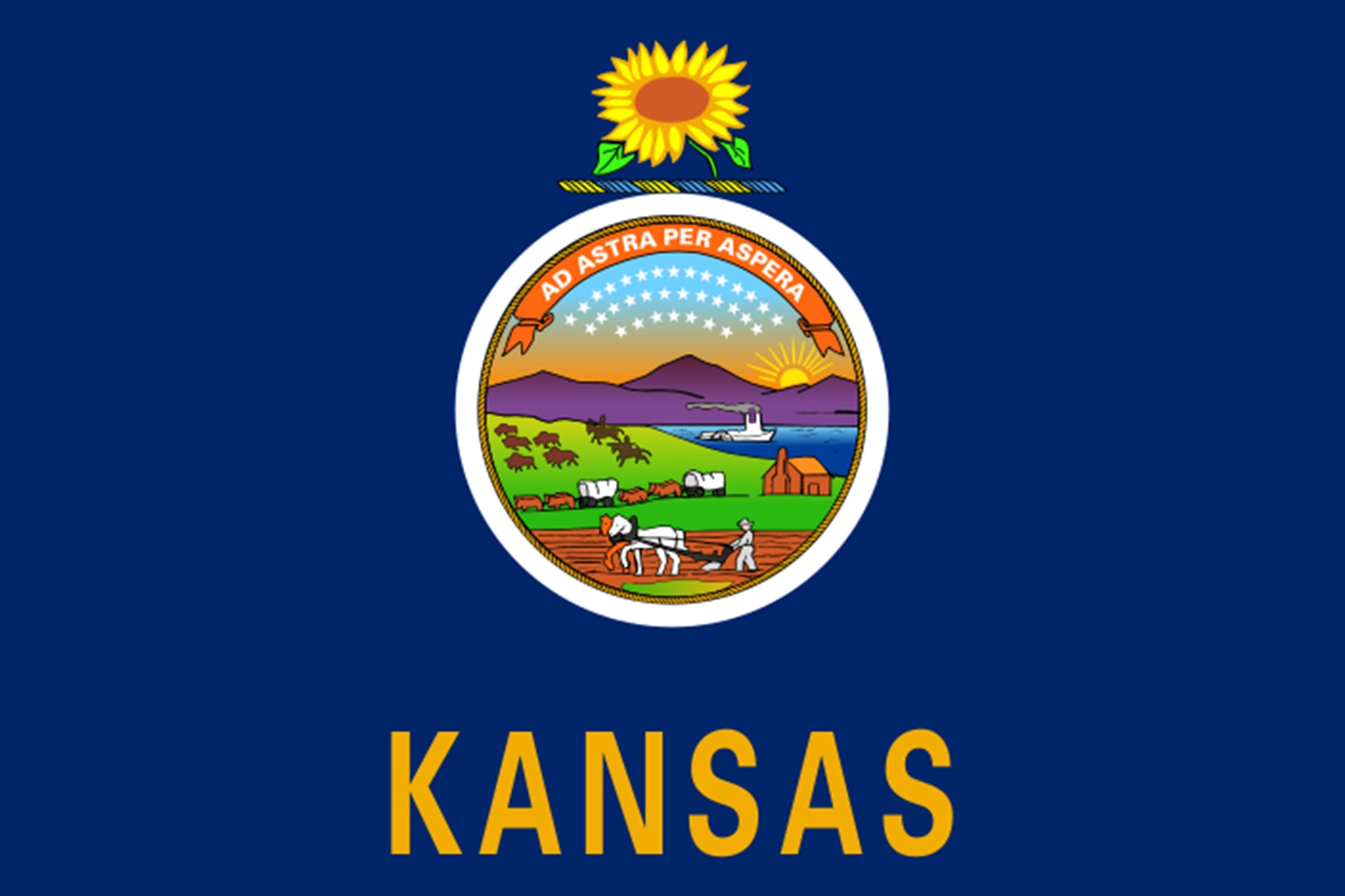 Kansas State Flag