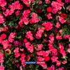 Artificial Floral Event Wall Backdrop – Style 65