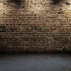 Old Interior with Brick Wall Backdrop