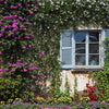 Wall and window with flowers in decorative park on island Izola Bella Backdrop