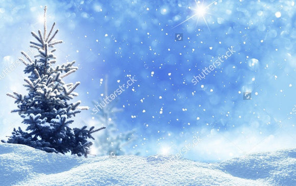 Frozen Tree Blue Glittering Sky  Backdrop