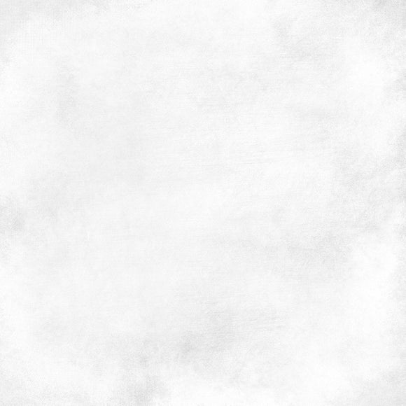 Abstract Gray Background of White Texture