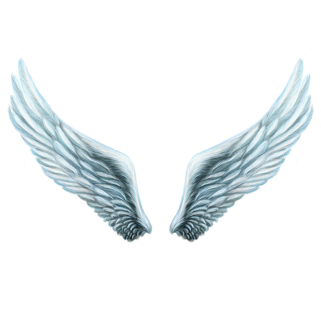 Internal White Angel Wing Plumage