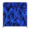 Fresh Blue Roses Background Media Wall