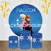 Frozen Princess Elsa Themed Event Party Round Backdrop Kit