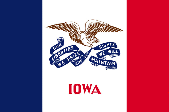 Iowa State Flag