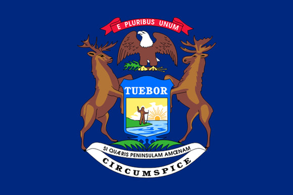 Michigan State Flag