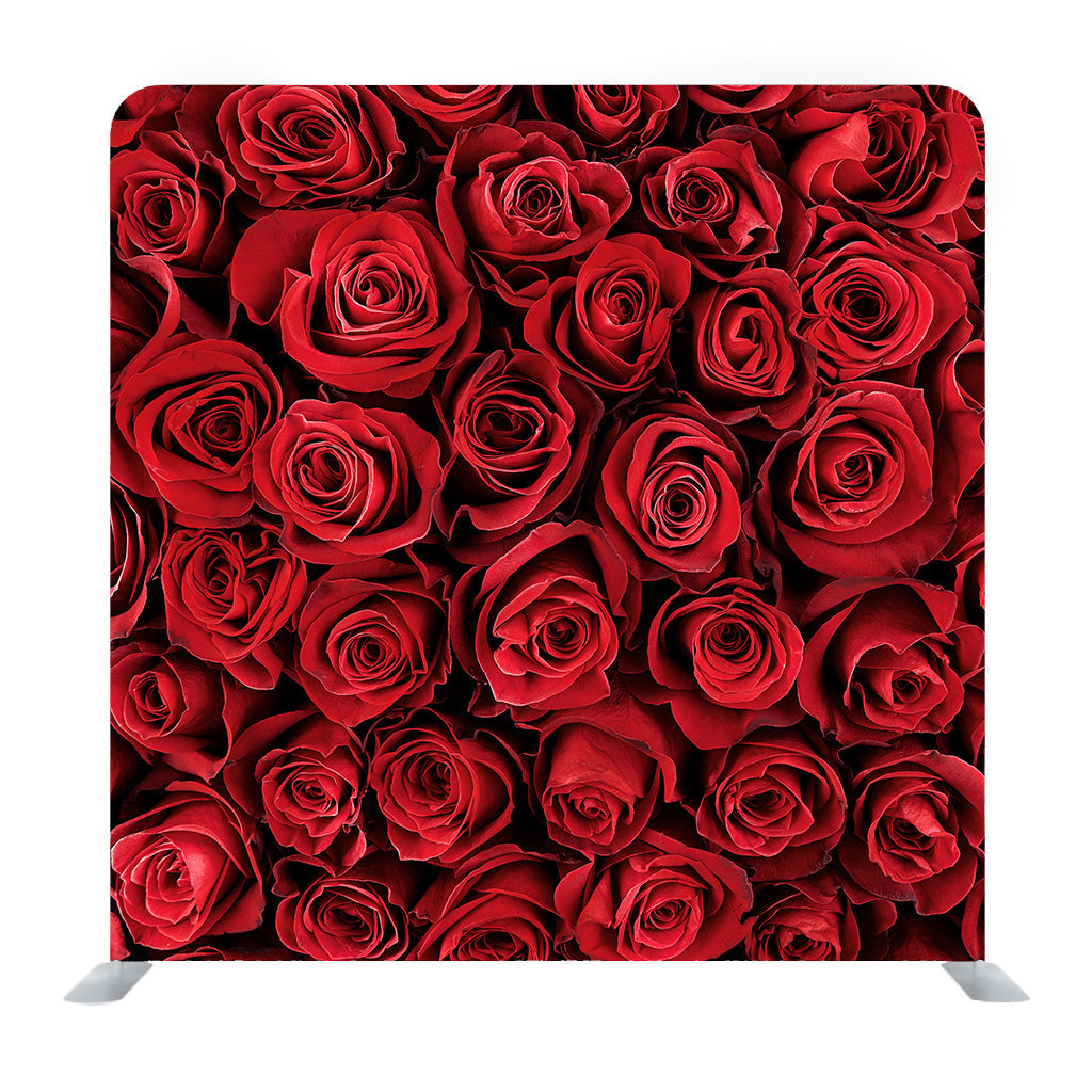 Natural Fesh Red Roses Background Media Wall