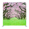 Pink Flowers Trees Tunnel Background Media Wall