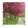 Pink leafed Media wall