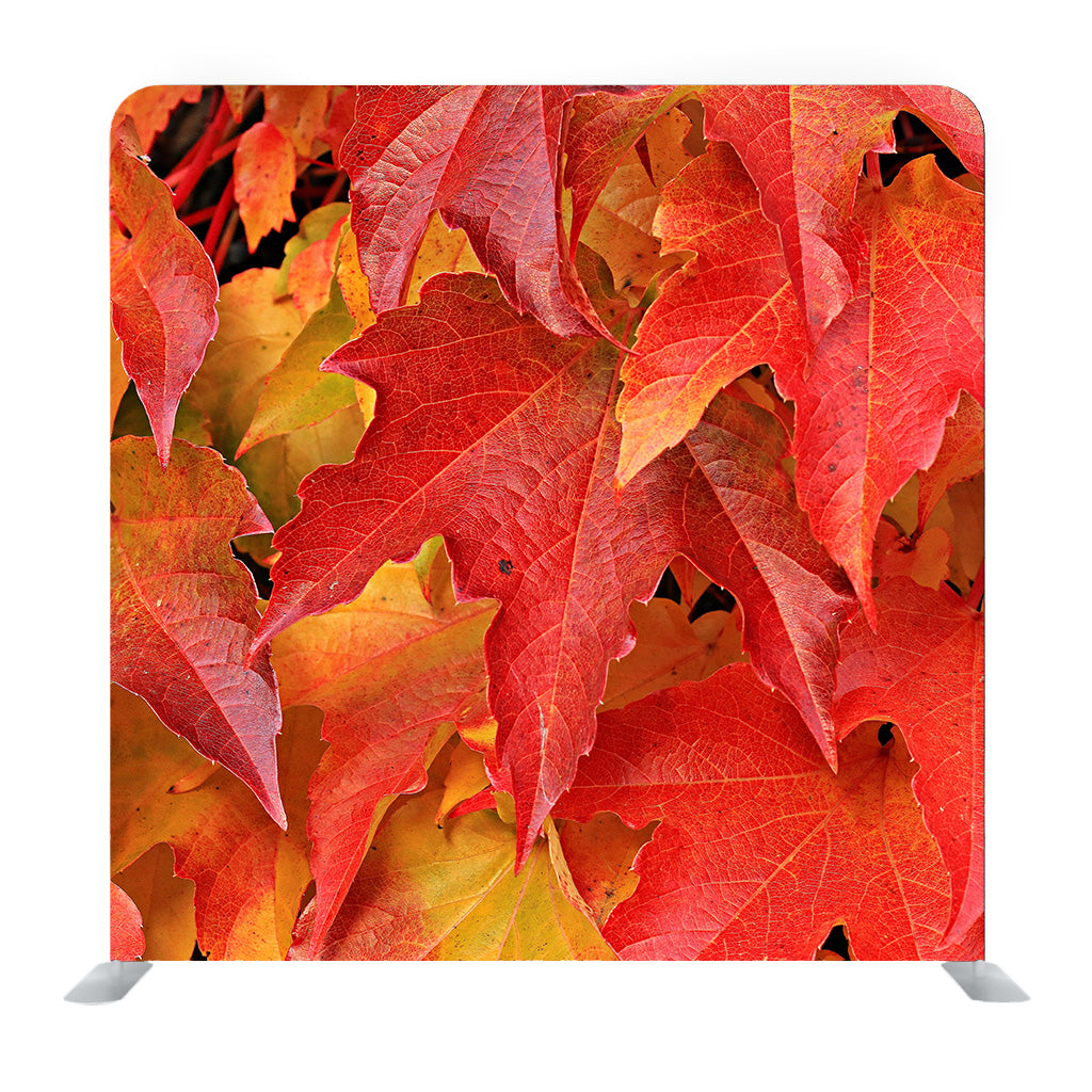 Red Autumn Leaves Media wall
