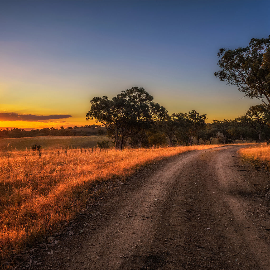 Scenic countryside Landscape Backdrop