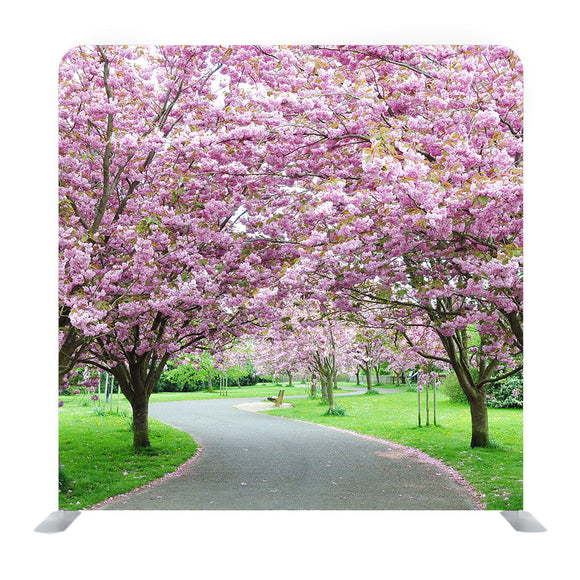 Scenic View of a Beautiful Winding Country Road Lined Background Media Wall