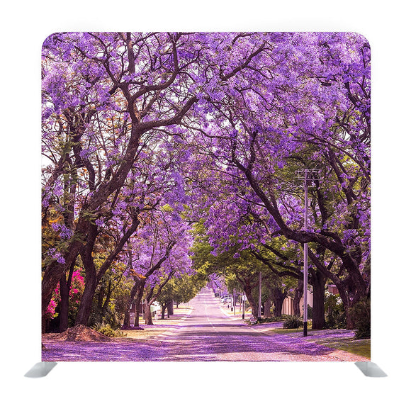 Stunning Alley With Wonderful Violet Vibrant Jacaranda In Bloom Background