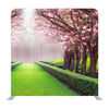 The Romantic Tunnel Of Pink Flower Tree Background Media Wall