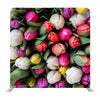 Tulip Flower Media wall