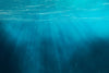 Underwater Scene Indelible Print Fabric Backdrop