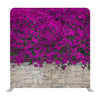 Violet Bougainville Flowers Blooming On Rock Wall Background Media Wall