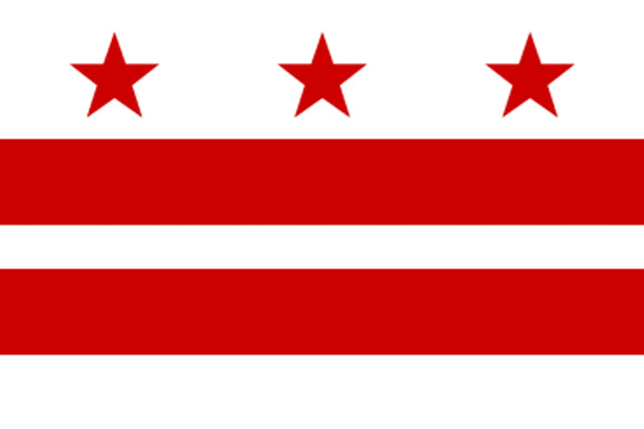 Washington D.C State Flag