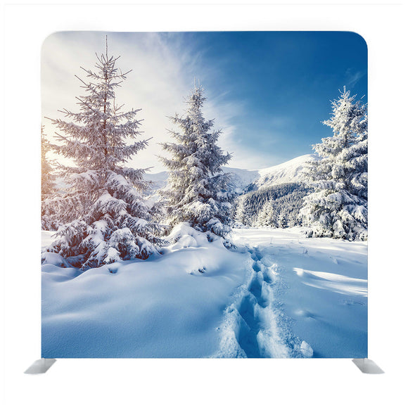 Winter Snow Trees Media Wall