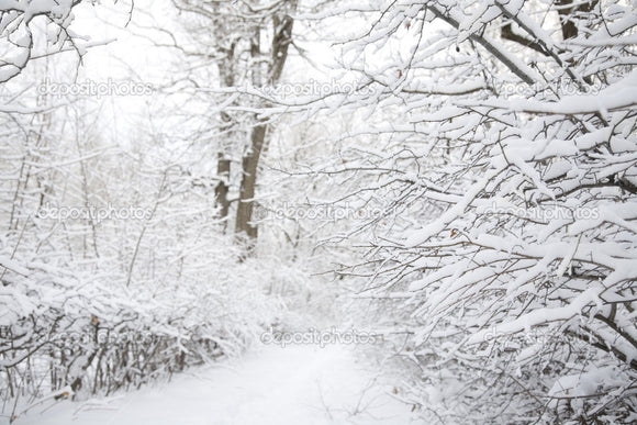 White Winter Scene Indelible Print Fabric Backdrop