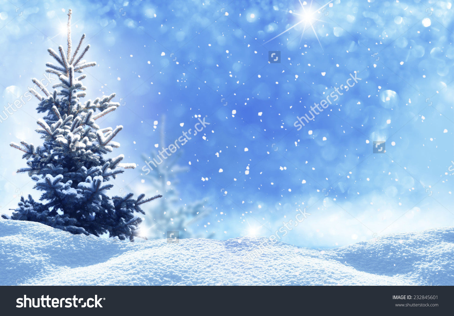 Winter Christmas Landscape Indelible Print Fabric Backdrop